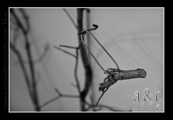 jessetree1-044 jessetree1-044